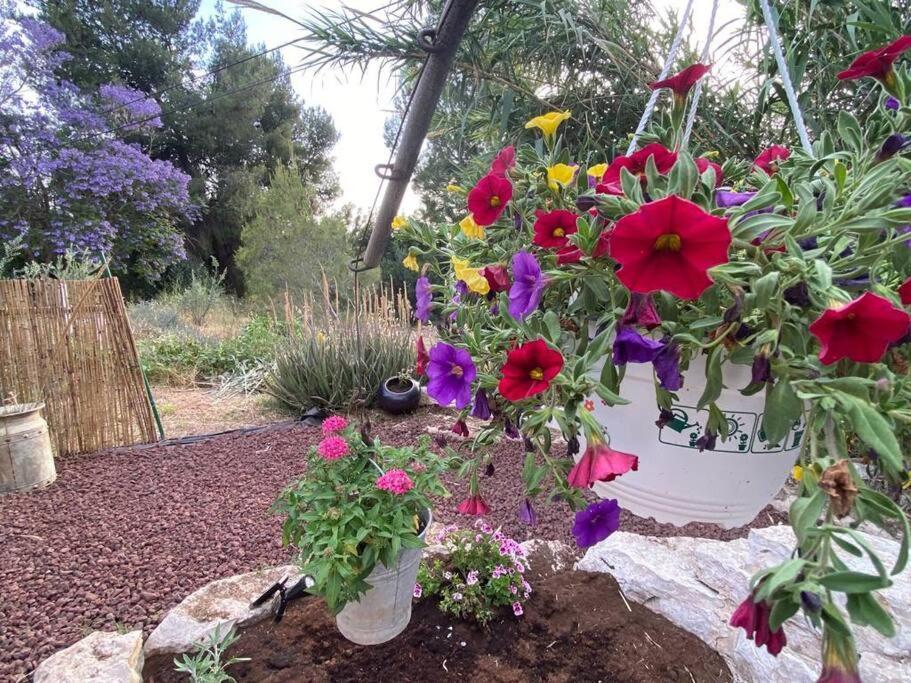 Bit Cabin Near The Airport Kfar Daniel Exterior foto